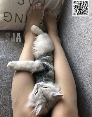 第一福利精品导航_国产剧在线观看高清